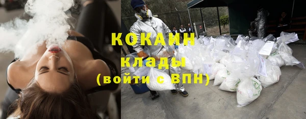 Альфа ПВП Аркадак