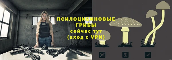 Альфа ПВП Аркадак