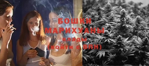 прущие крисы Арсеньев