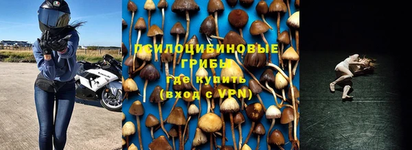 Альфа ПВП Аркадак