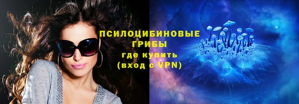 прущие крисы Арсеньев